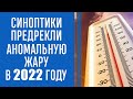 Аномальная жара: 2022 год станет одним из самых жарких в истории