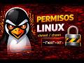 Permisos en Linux explicados fácil (chmod, chown y chgrp)