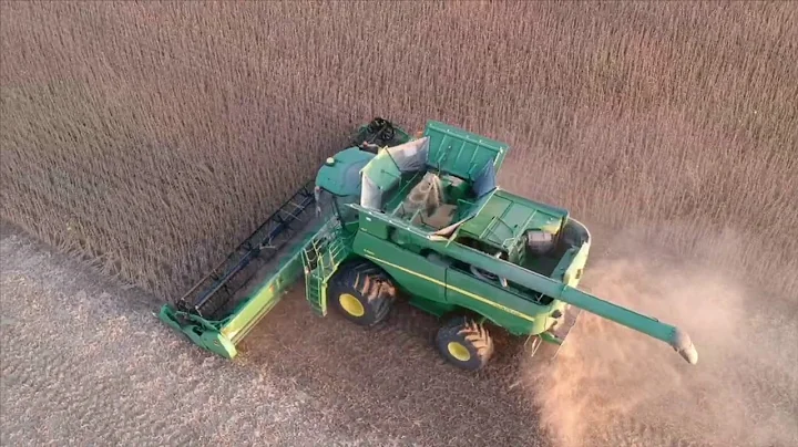 Swayze Farms 2019