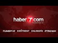 Haber7com