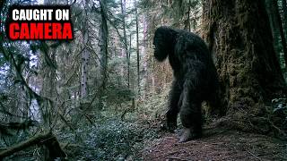 11 Bigfoot Sightings That Get More Terrifying the Longer You Watch screenshot 4