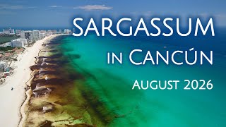 Cancun Sargassum Update August 2026 Hotel Zone Beaches Right Now Drone 4K