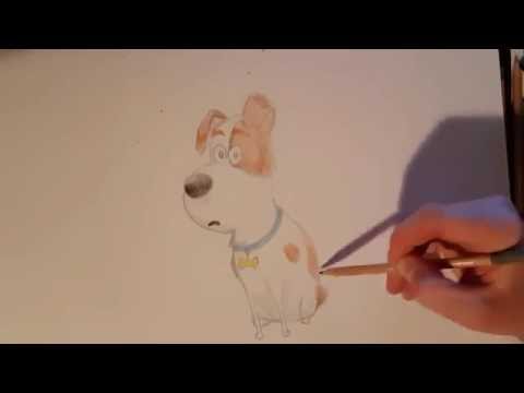 How to draw Max from The Secret Life of Pets - for kids - YouTube