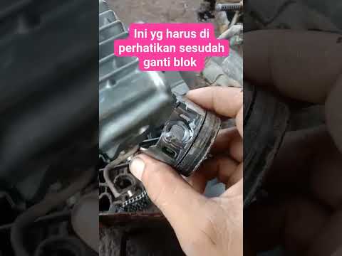 Motor Expert Jalandhar