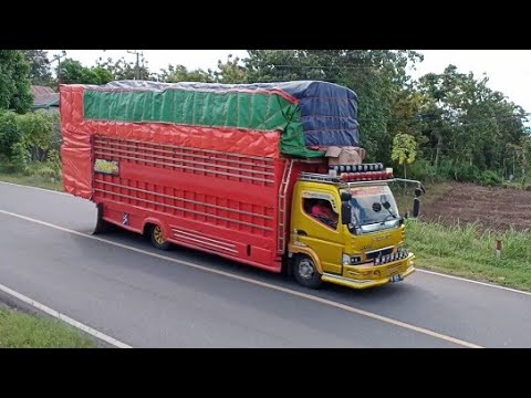 Truck Sulawesi lintas kendari  Inilah 8 truk  ekspedisi  