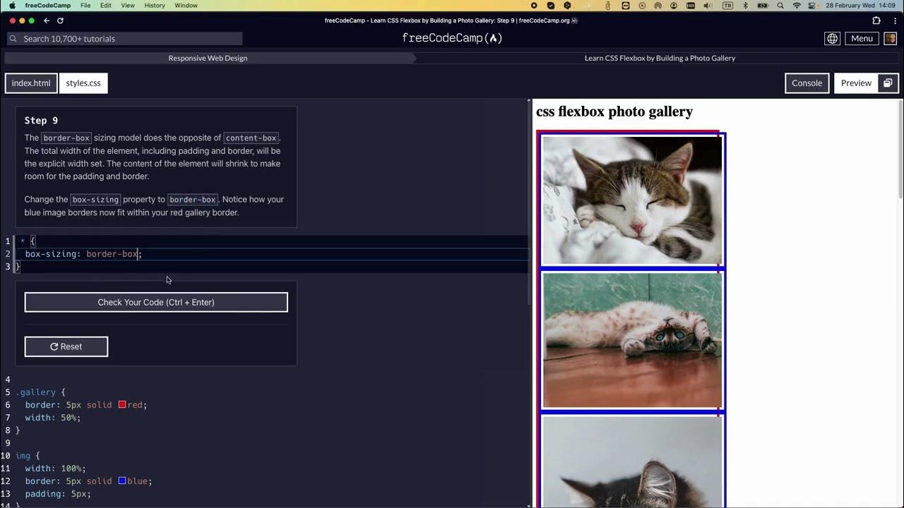 Learn CSS Flexbox by Building a Photo Gallery - Step 9 #freecodecamp # ...