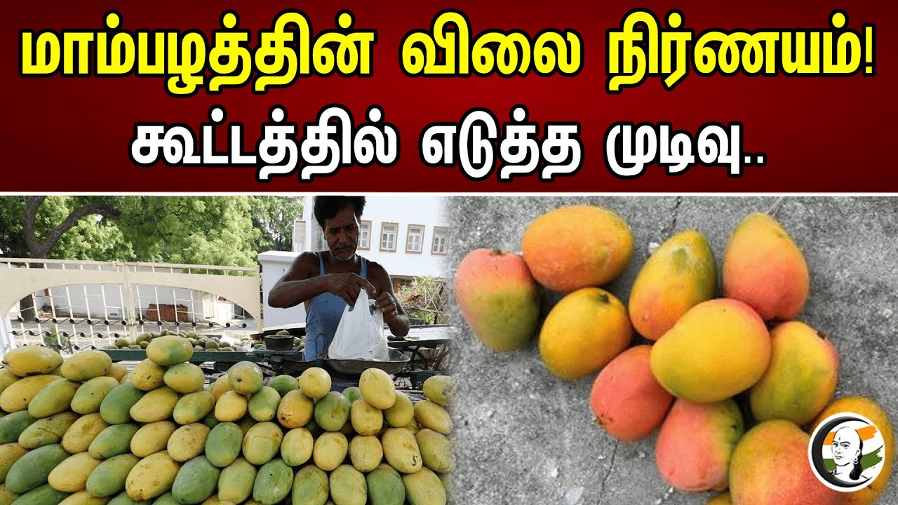 மாம்பழத்தின் விலை நிர்ணயம்! கூட்டத்தில் எடுத்த முடிவு..| Pricing of Mangoes | TamilNadu Cost