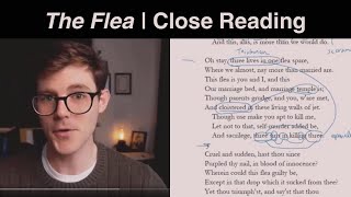 John Donne | The Flea & Argumentation | Close Reading & Analysis