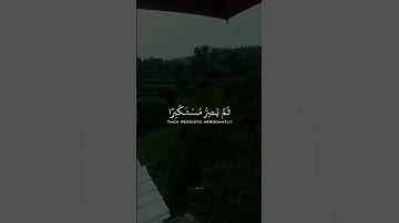 ويل لكل أفاك أثيم /سورة الجاثية |الشيخ ياسر الدوسري