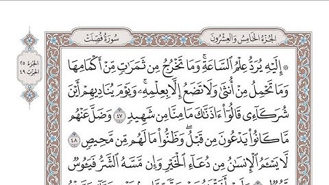 الربع الأول من الحزب ٤٩ من القرآن الكريم - الشيخ عبدالرشيد صوفي
