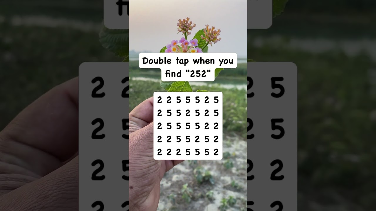 Observation Visual Test: 5 Seconds For You To Spot 252. Try Your Skills! #search #puzzle #shorts