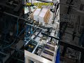SKZH-2620 Centralised Cartoning Machine | Automatic High-Speed Carton Packaging Solution