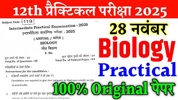28 November 12th Biology Practical Question Paper 2025 || 12th Sent up exam biology practical 2025
