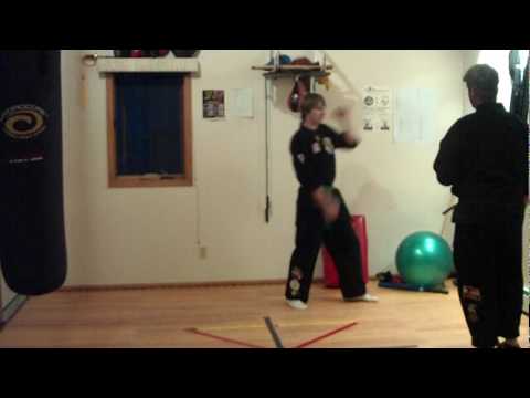 Eckhardt Studio Kenpo purple techs.MOV