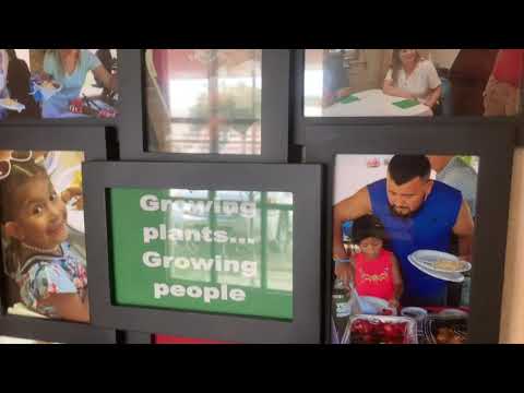Village Green Video