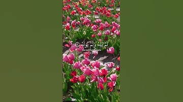 سورة الإخلاص | Surat Al-Ikhlas | القارئ ياسر الدوسري ❤️