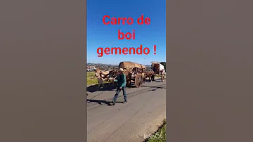 Carrodeboi Fe Trending Viral Viralvideo Video Shorts Short Shortvideo Youtubeshorts Song 