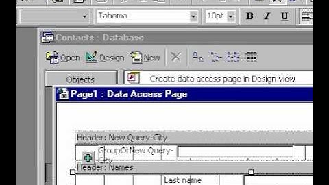 Microsoft Office Access 2000 Create data page