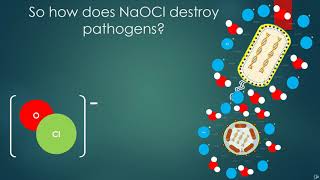 HOCl vs NaOCl animation V2 audio