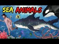 We're Going on a Sea Animal Adventure | Bear Hunt | Nursery Rhymes | Videos for children
