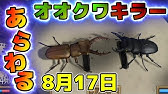 やっとレンガが集まったよ 何があるんだろう ぼくのなつやすみ3実況 ぼくなつ3 赤髪のともpart15 Youtube やっとレンガが集まったよ 何があるんだろう ぼくのなつやすみ3実況 ぼくなつ3 赤髪のともpart15 Youtube