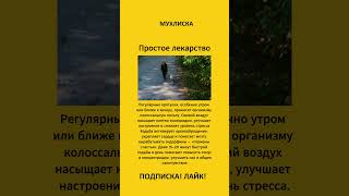 Простое лекарство #здоровье #полезно