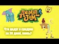 "Animal Jam" Что дадут в сундуке за посещение игры 30 дней, июнь?