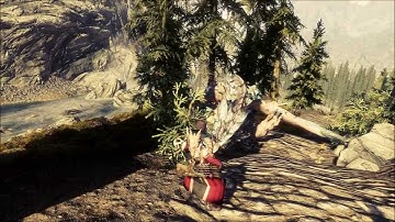 Skyrim : Combat Cross the Whip Battle Cross Action 3