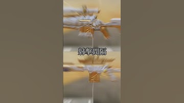 【決勝時刻M】各槍大比對｜Locus VS DLQ33😍 #決勝時刻m #codm