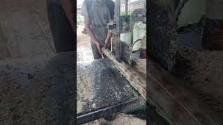 Tajamnya gergaji merajang pucuk kayu terlampau kecil01#Shorts