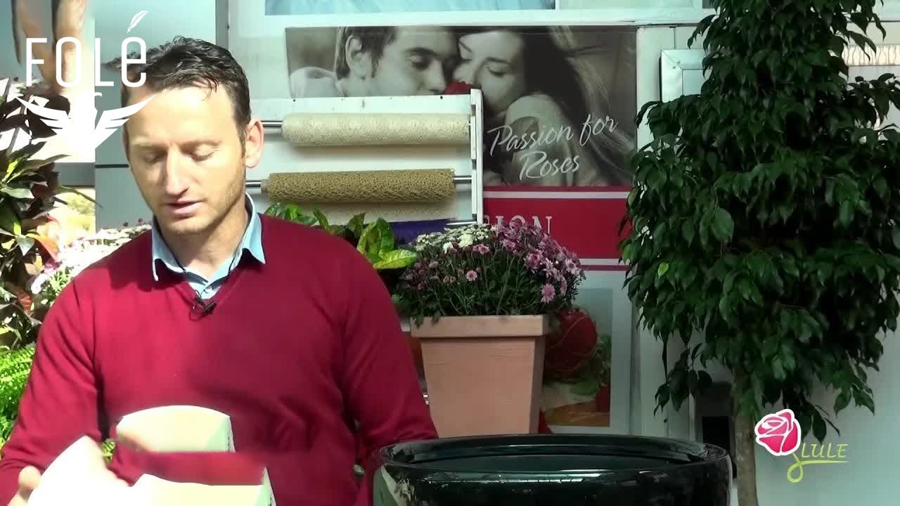 Lule  - Vazo per lule - 25.12.2018