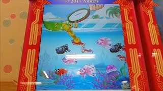 【Amuzyメダルゲーム】100円チャレンジ【6】「とれとれ金魚パラダイス」どこまで増やせるか！？
