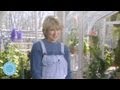 How To Organize And Store Seeds - Throwback Thursday - Martha Stewart