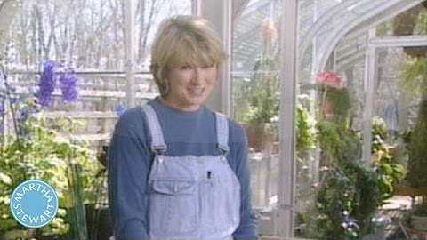 How To Organize And Store Seeds - Throwback Thursday - Martha Stewart