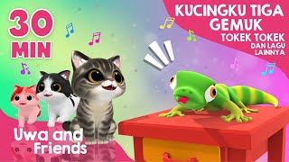 Kucingku Tiga Gemuk, Tokek Tokek, dan Lagu Lainnya  30 Menit Lagu Anak Indonesia