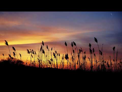 안젤로 - 상처 (feat 유리상자 박승화)