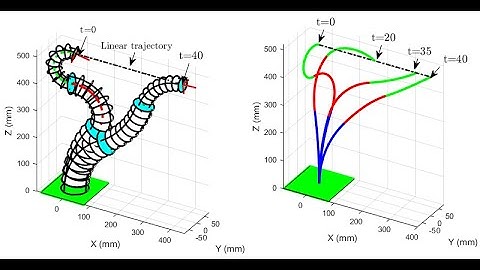 Simulation of Two-section continuum robot and redundancy phenomena