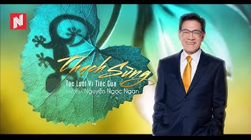 Thạch Sùng Tặc Lưỡi Vì Tiếc Của - Nguyễn Ngọc Ngạn