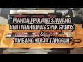 Mandau Spek Ganas tatah Emas Murni &amp; Ambang Dayak Ngaju
