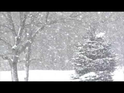   سۆناتای زستان