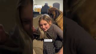 Giant Dog is SUSPICIOUS with the smell test #dog #dogs #cutedog