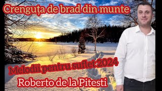 ROBERTO DE LA PITESTI 💢 MELODII PENTRU SUFLET 2024💢 CRENGUTA DE BRAD DIN MUNTE