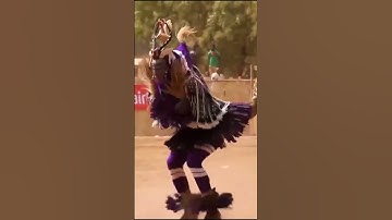 vũ điệu chim công châu phi @vochonghailua.u5