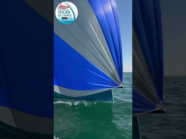 Élection du voilier de l'année 2026 : J/7, le dayboat made in USA