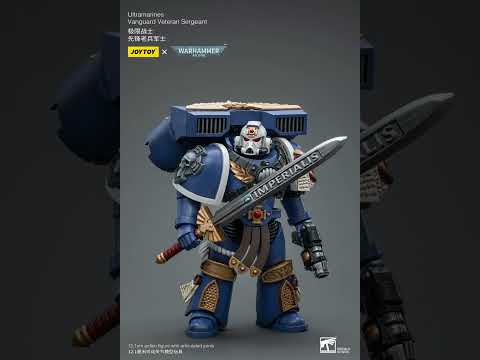 Ultramarines Vanguard Veteran Sergeant video