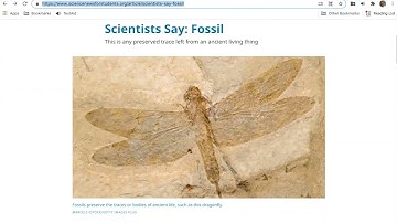 How to Use the Listen, Play or Resume, Pause,  and Stop Tools in ReadSpeaker for Schoology