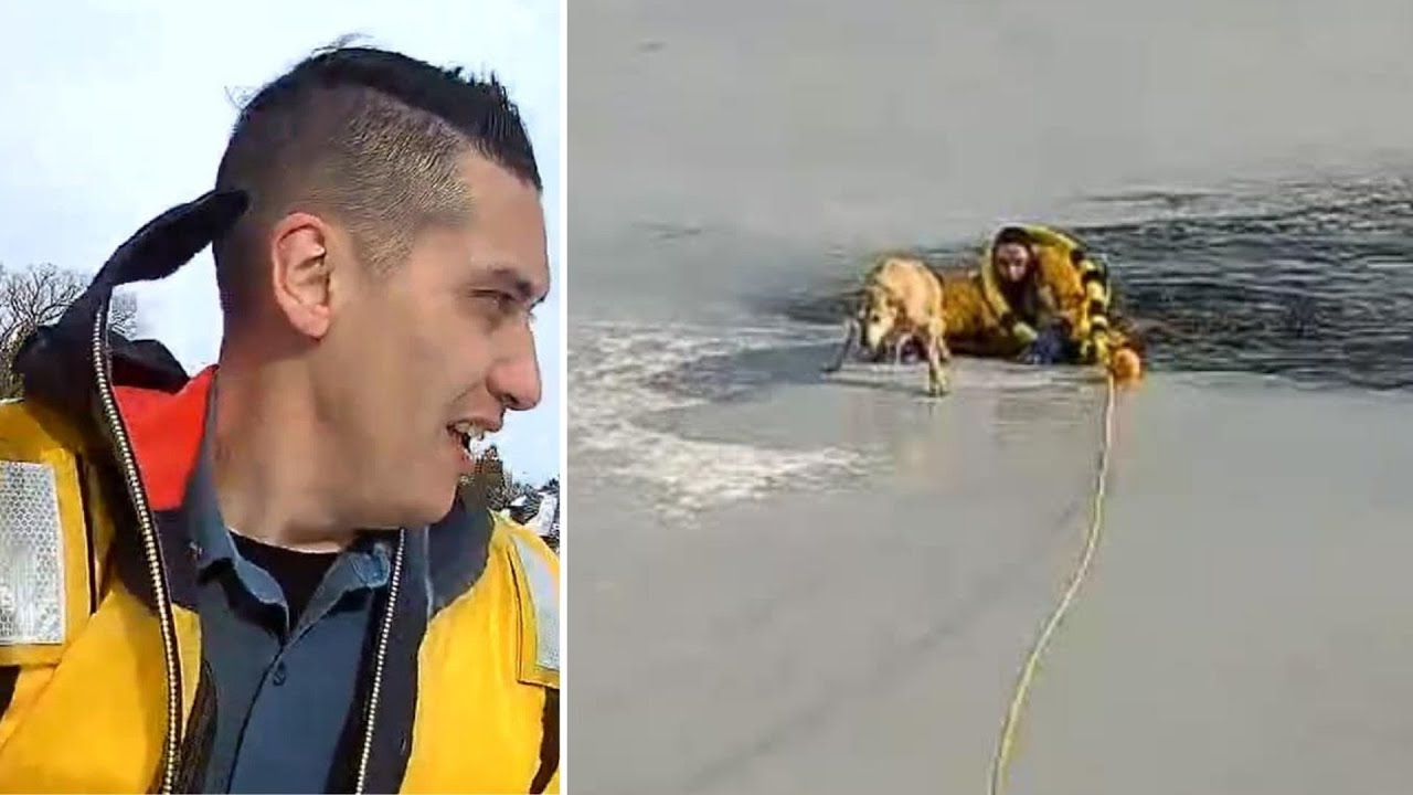 NJ police officer rescues dog from frozen lake - YouTube