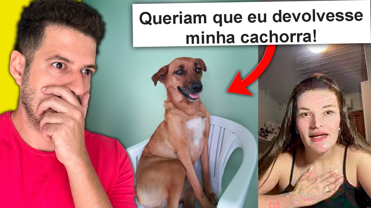 A seguidora terminou o namoro, mas não devolveu a cachorra dela!