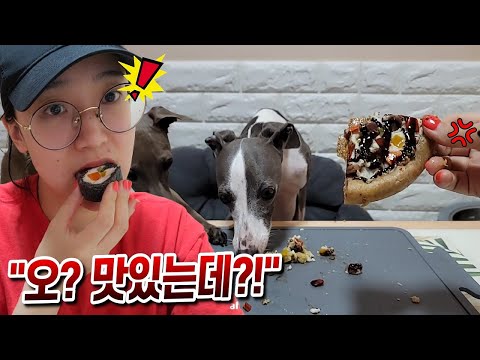 자가격리 9일째, 강아지 ASMR 하려다 망해서 내가 먹는다