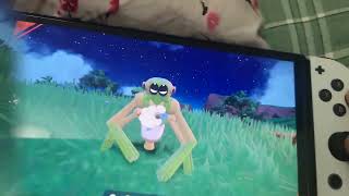 Giving Spidops A Bath